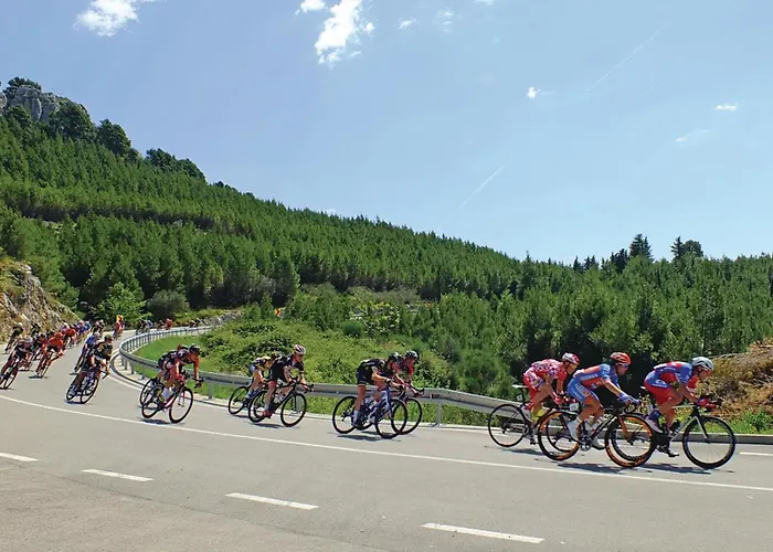 Apartment Lxxxi Makarska